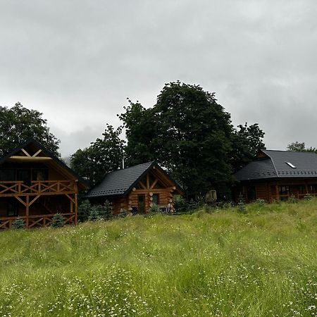 Chalet Pidstromom マイコリチン エクステリア 写真