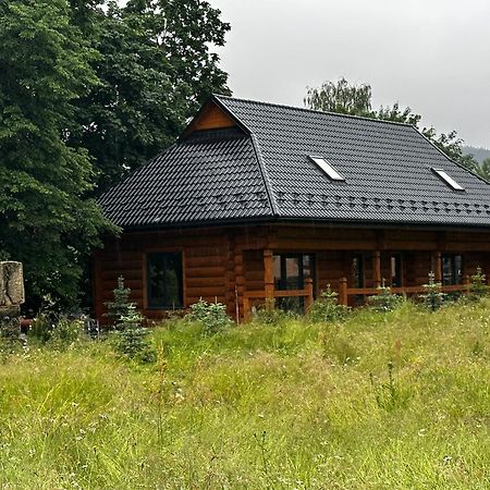 Chalet Pidstromom マイコリチン エクステリア 写真