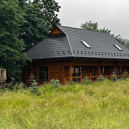 マイコリチン Chalet Pidstromomヴィラ エクステリア 写真