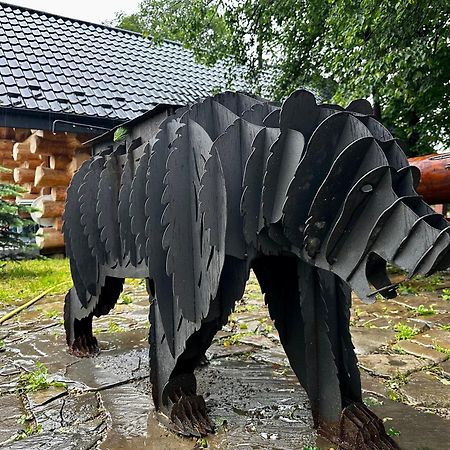 Chalet Pidstromom マイコリチン エクステリア 写真