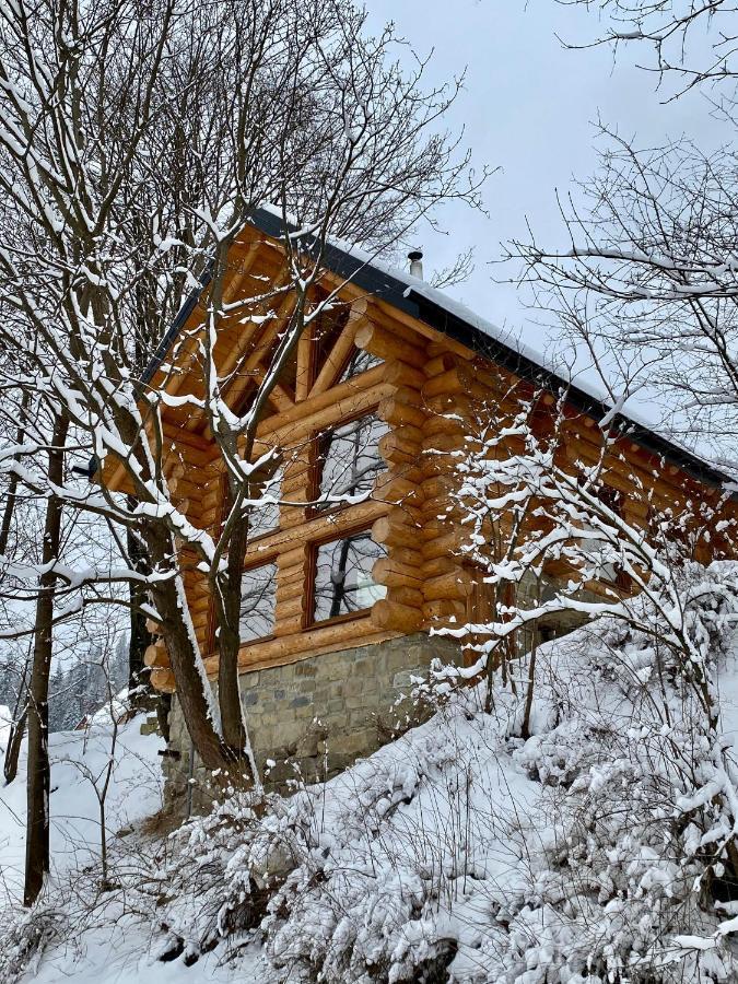 Chalet Pidstromom マイコリチン エクステリア 写真