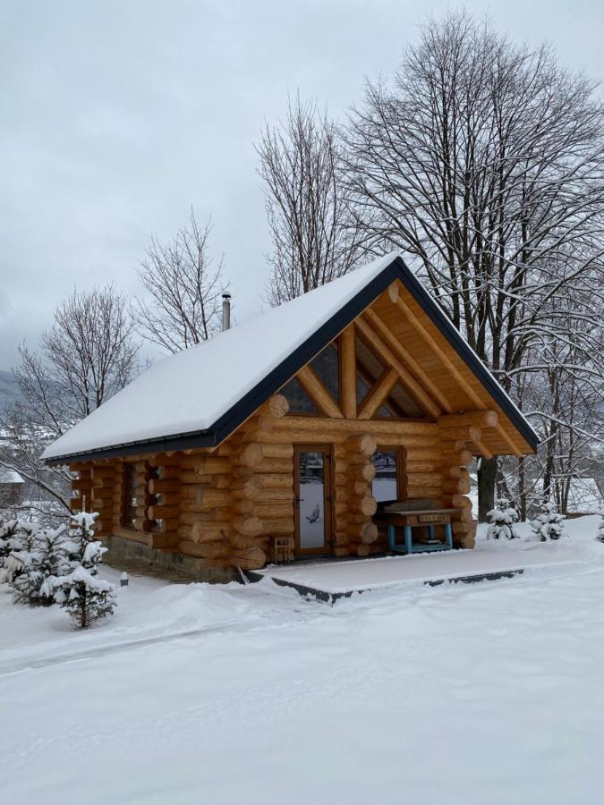 マイコリチン Chalet Pidstromomヴィラ エクステリア 写真