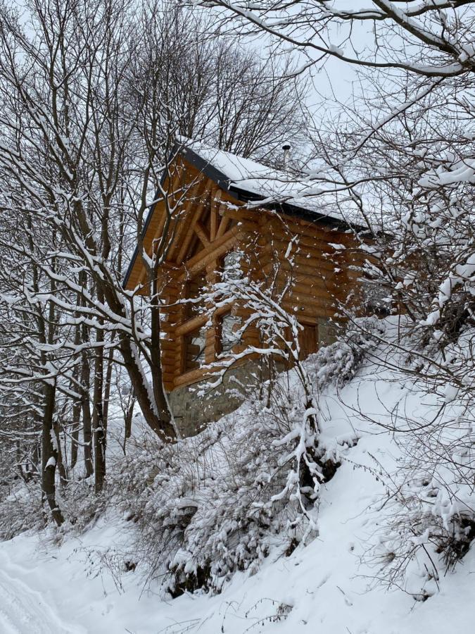 マイコリチン Chalet Pidstromomヴィラ エクステリア 写真