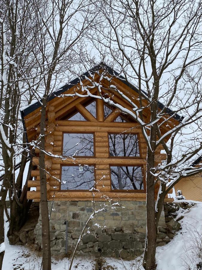 Chalet Pidstromom マイコリチン エクステリア 写真