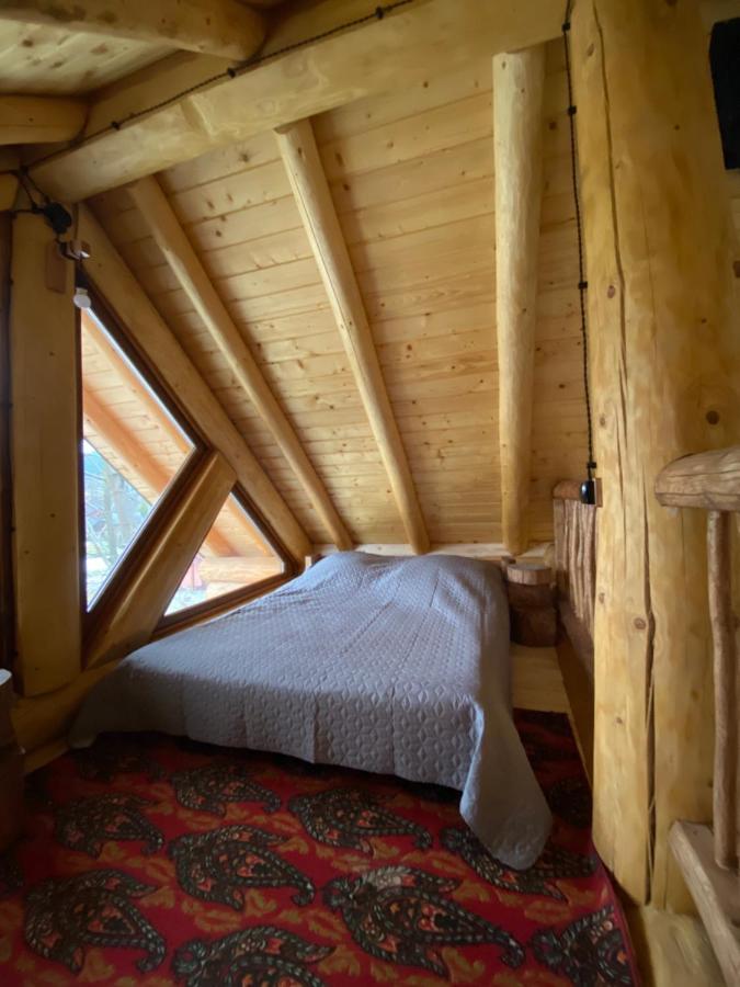 Chalet Pidstromom マイコリチン エクステリア 写真