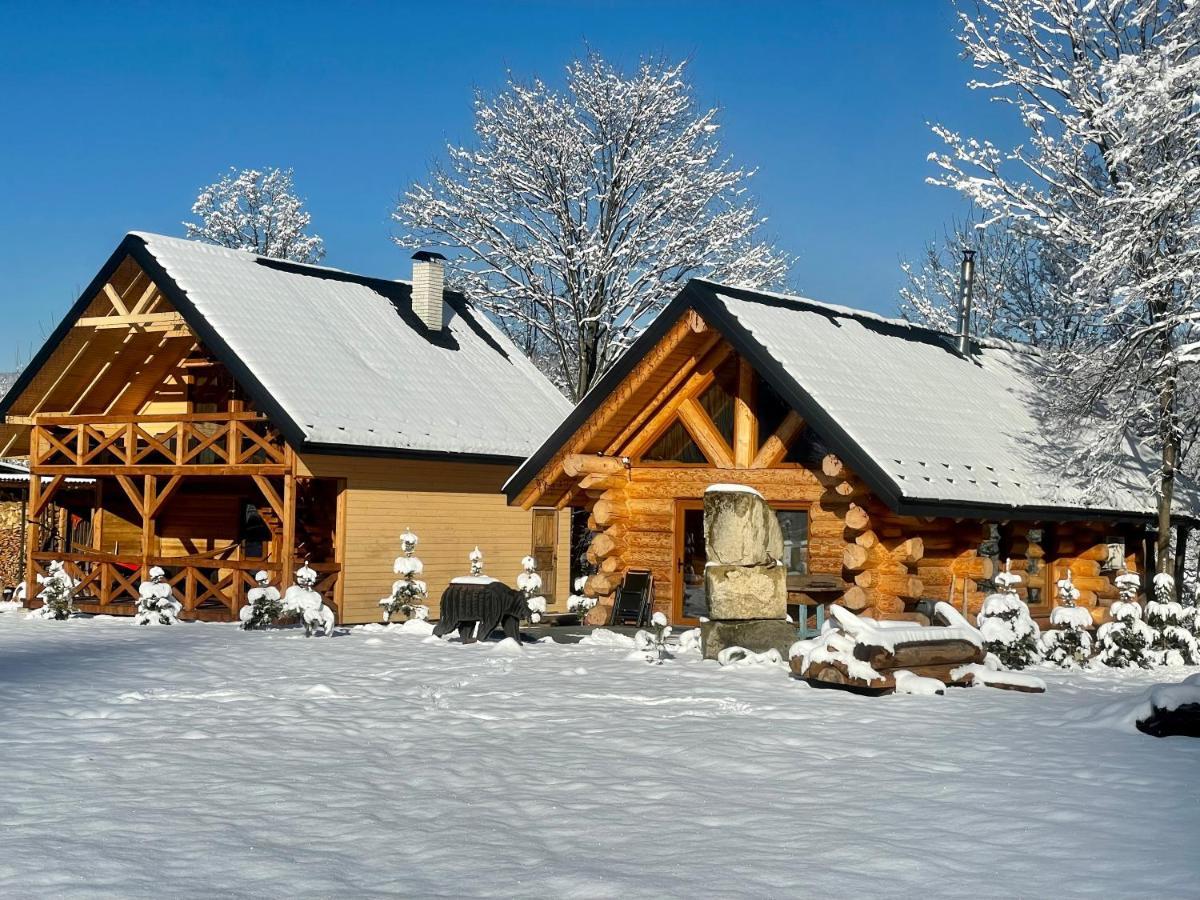 Chalet Pidstromom マイコリチン エクステリア 写真