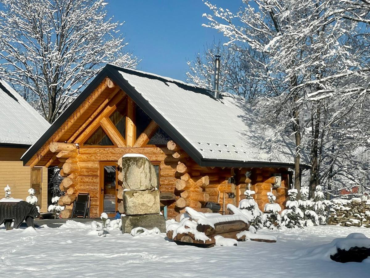 Chalet Pidstromom マイコリチン エクステリア 写真