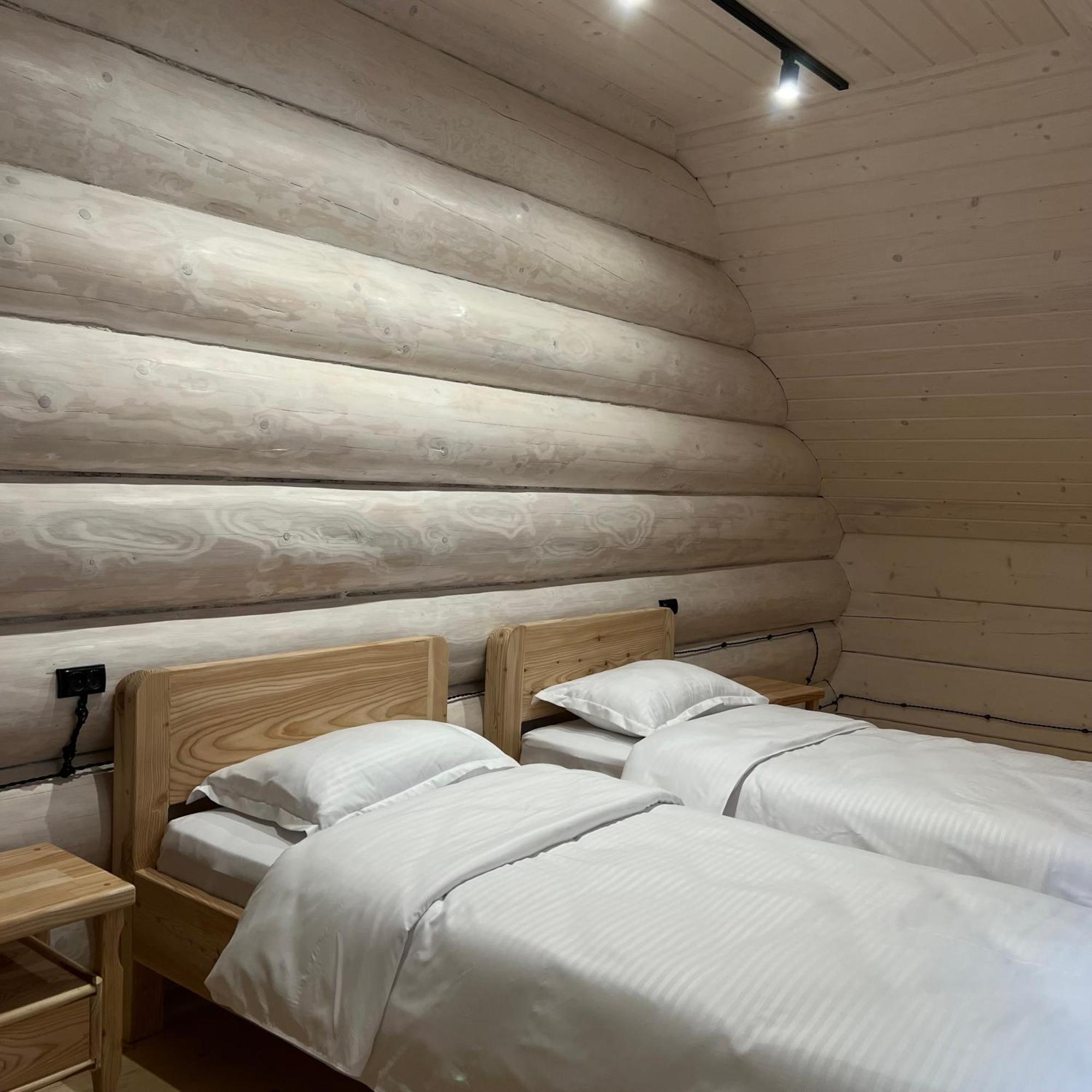Chalet Pidstromom マイコリチン エクステリア 写真