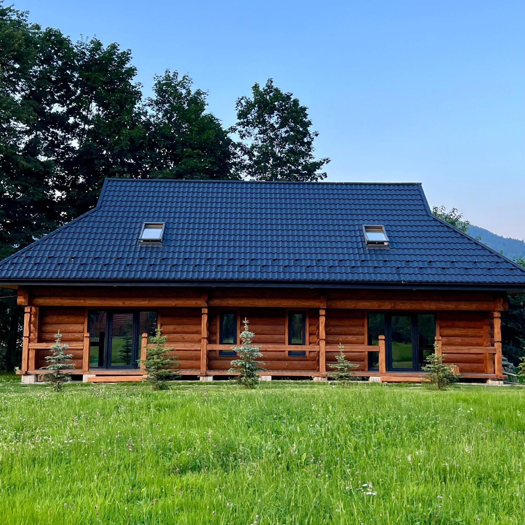 Chalet Pidstromom マイコリチン エクステリア 写真