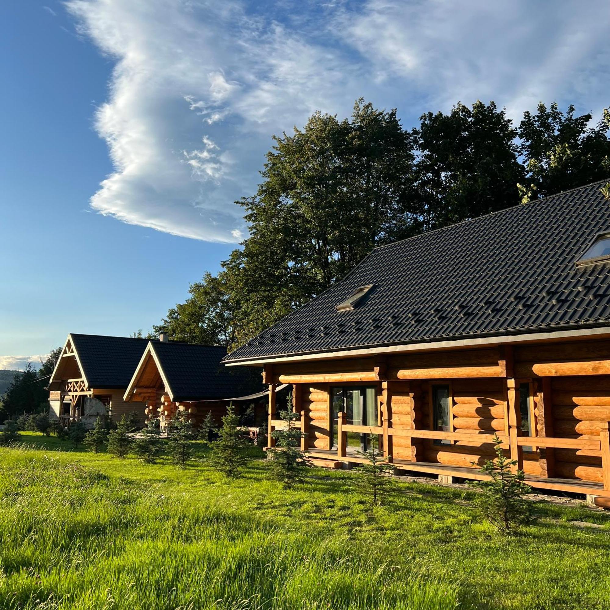 マイコリチン Chalet Pidstromomヴィラ エクステリア 写真